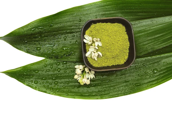 Грязь, цветок и зеленый лист — стоковое фото