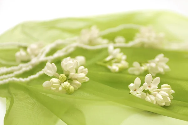 白い花の背景をぼかし — ストック写真