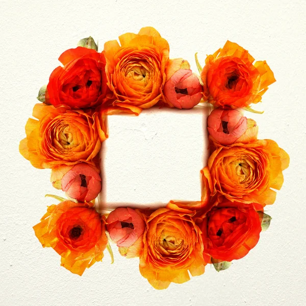鲜艳的橙色花朵的帧 — 图库照片