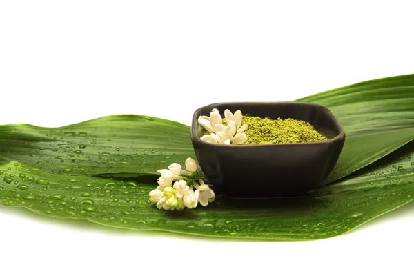 Wellness-Xena, Blume und grünes Blatt — Stockfoto