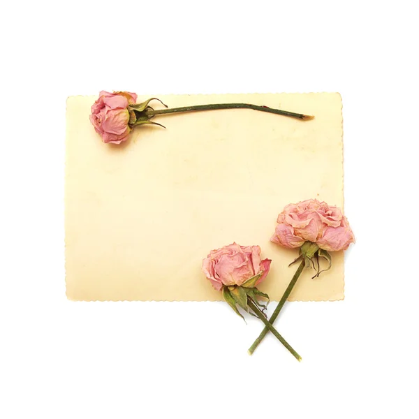 Çiçekler ve vintage kağıt — Stok fotoğraf