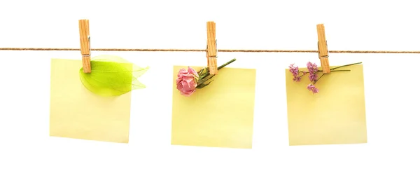 Papers and flowers — Stock Photo, Image