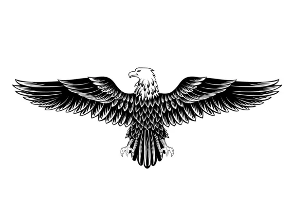 Eagle wings vector Stock Vectors, Royalty Free Eagle wings vector ...