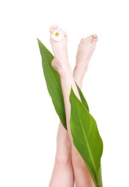 Feet and leaves clipart