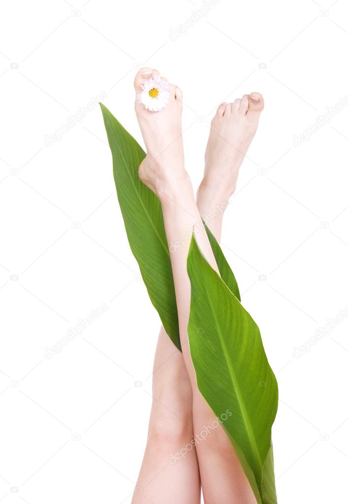 Feet and leaves