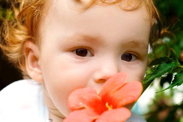 The baby boy with flower — Stock Photo, Image