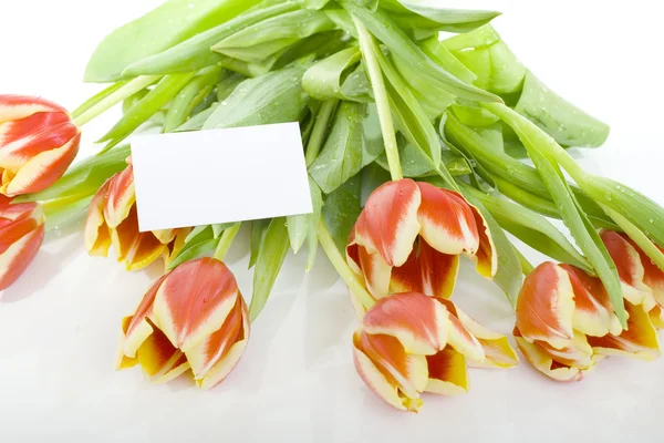 Buquê de tulipa com cartão — Fotografia de Stock