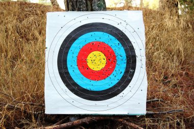 Colorful shooting target clipart