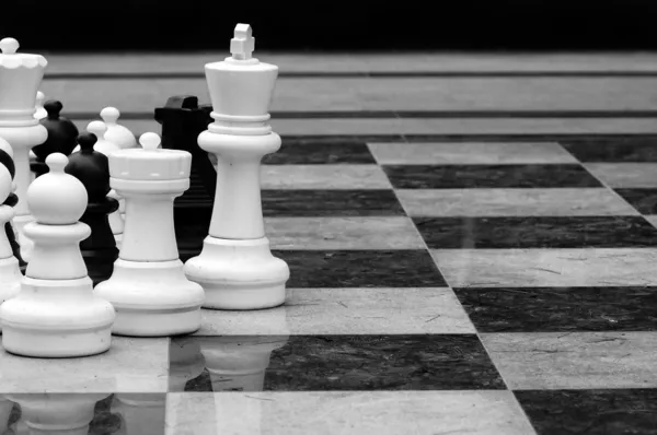 Натуральну шахи — стокове фото