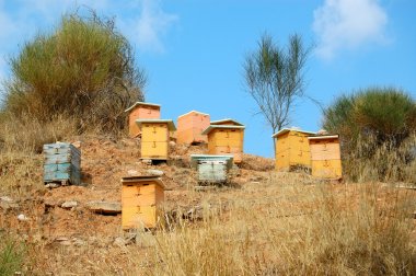 Wooden beehives clipart