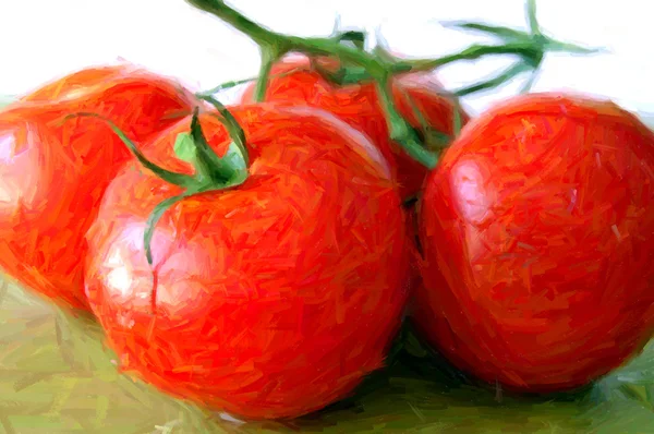 Čerstvá rajčata ilustrace — Stock fotografie