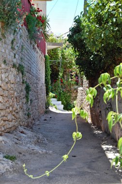 Greek village clipart