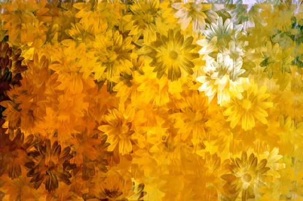 Patrón floral abstracto —  Fotos de Stock