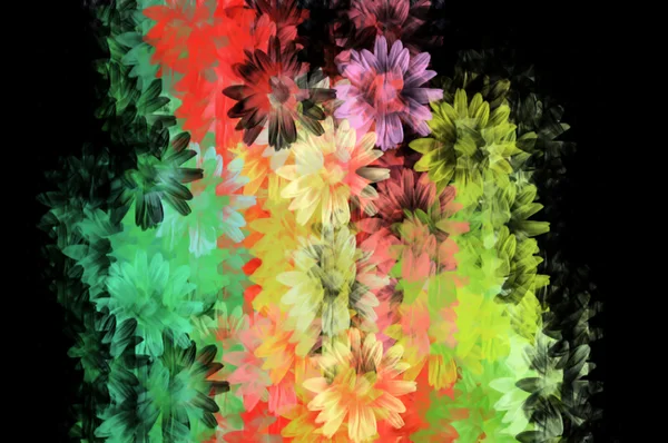Buntes Blumenmuster — Stockfoto