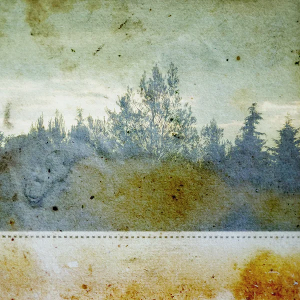 Discolorated skogen — Stockfoto