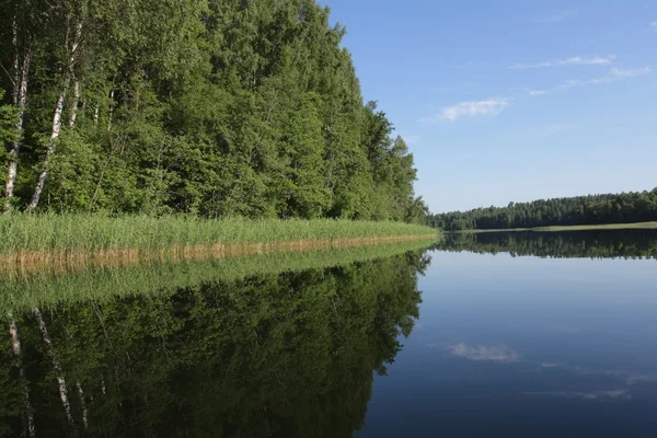 stock image Lake of the Woods