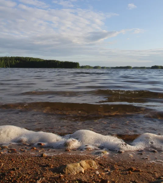 stock image Lake of the Woods