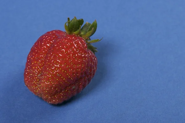 신선한 딸기 — 스톡 사진