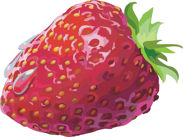 Vecteur fraise rouge — Image vectorielle
