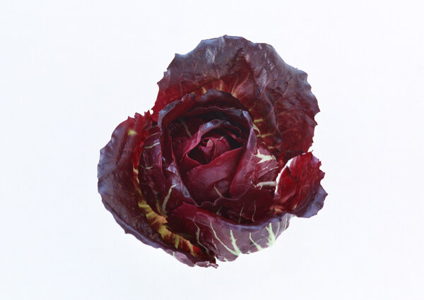 Свежие овощи
