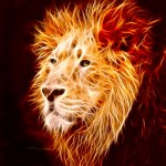 Lion flame — Stock Photo #3577812