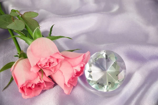 Rosenblüten und Diamanten — Stockfoto