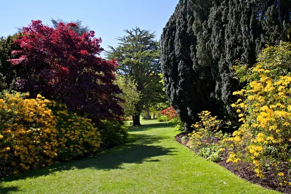Glorieuze Engelse tuin — Stockfoto