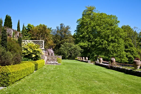 Английский сад — стоковое фото