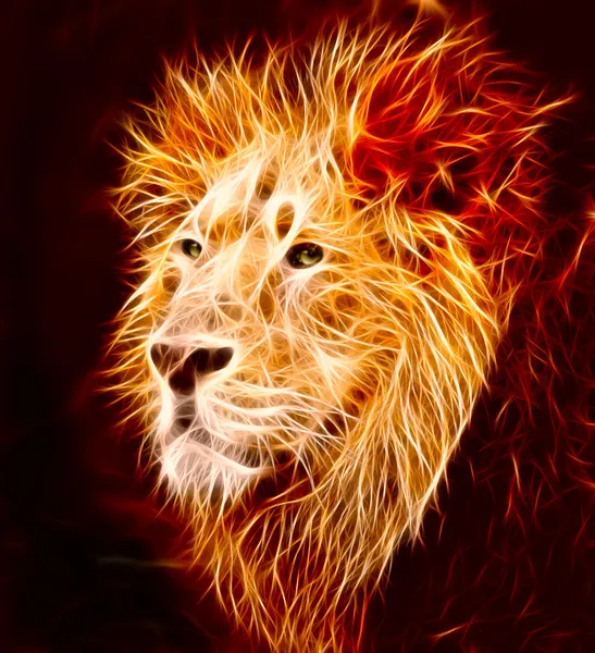 ライオン ストック画像