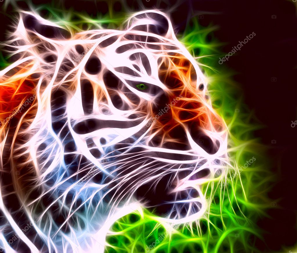 Snarling tiger