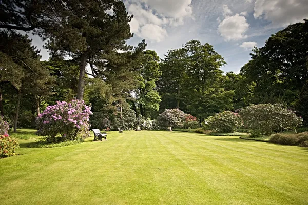 美しい庭 ロイヤリティフリーのストック写真