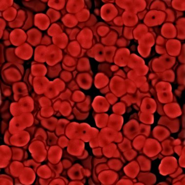 Blood cells clipart