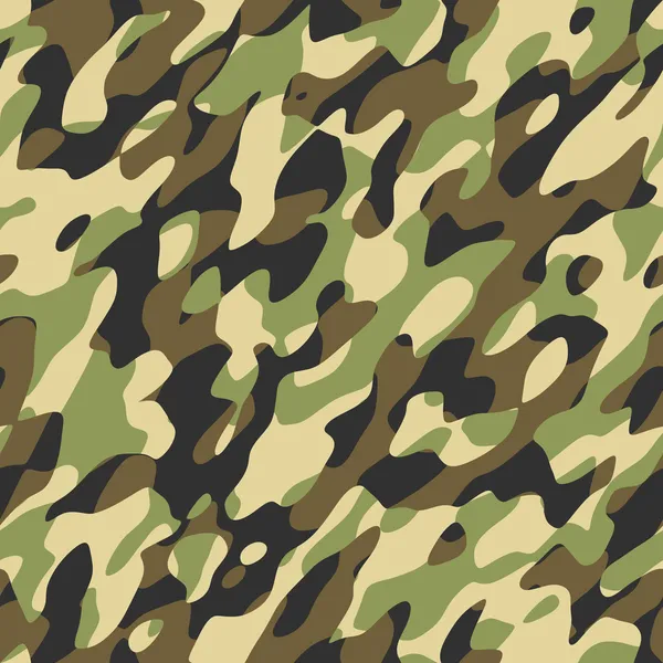Camouflage — Photo