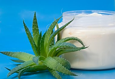 aloe vera kremi