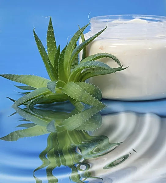 Aloe Vera Cream — Stock Photo, Image