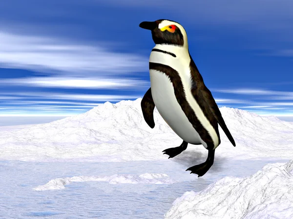 Tučňák stojící na sněhu — Stock fotografie