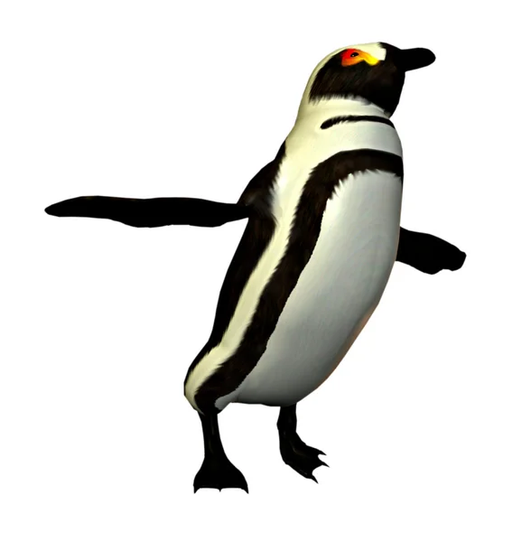 Пінгвін танцюрист — стокове фото