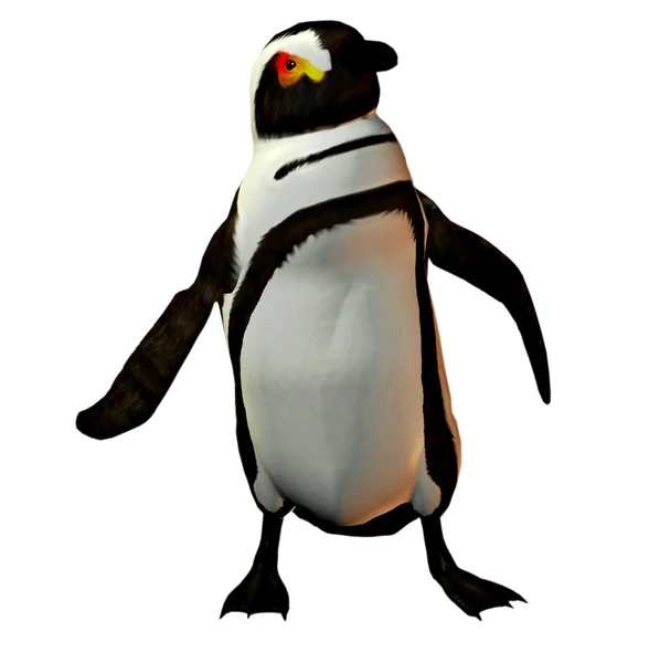 Πιγκουίνος χορεύτρια — Φωτογραφία Αρχείου