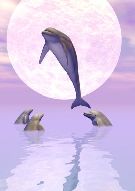 Moonlight Dolphins clipart