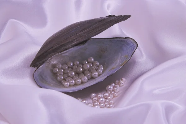 Růžové perly — Stock fotografie