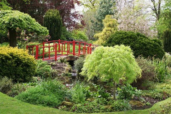 Англійська сад — стокове фото