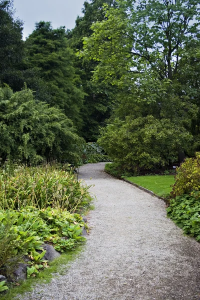 Sentiero del giardino — Foto Stock
