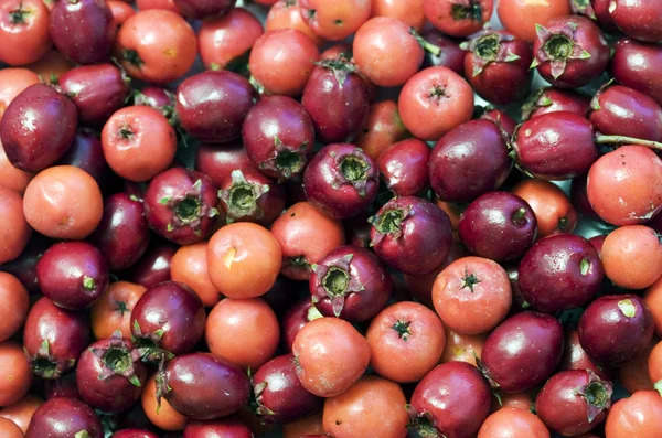 Stock image Autumn berries