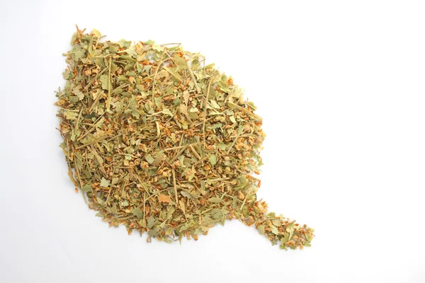 Dry linden leaf — Stock Photo, Image