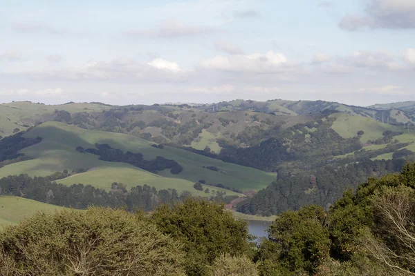 stock image Green hills partly covered with woods