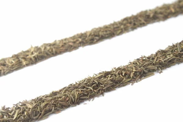 Two lines of thyme on white background — Stock Photo, Image