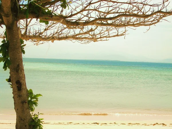 Palawan içinde yaz — Stok fotoğraf