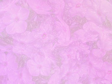 Pink Background clipart