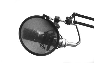 Microphone; protection; a grid;