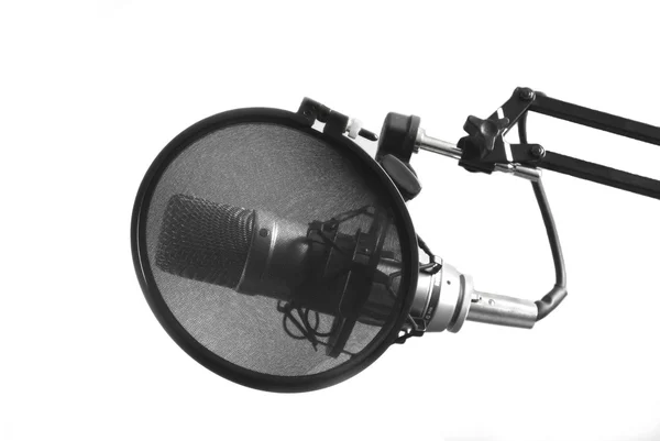 stock image Microphone; protection; a grid;